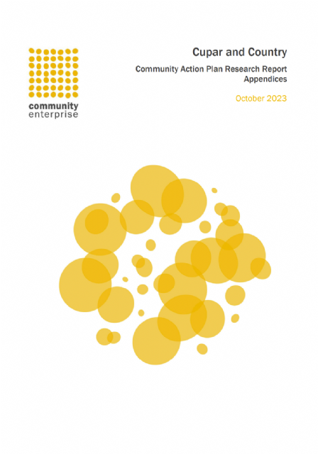 Community Action Plan appendices cover